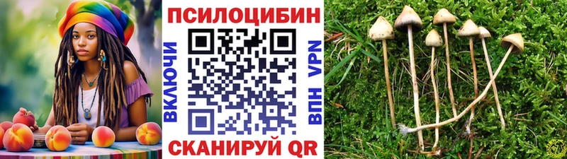 Псилоцибиновые грибы мухоморы  Симферополь 