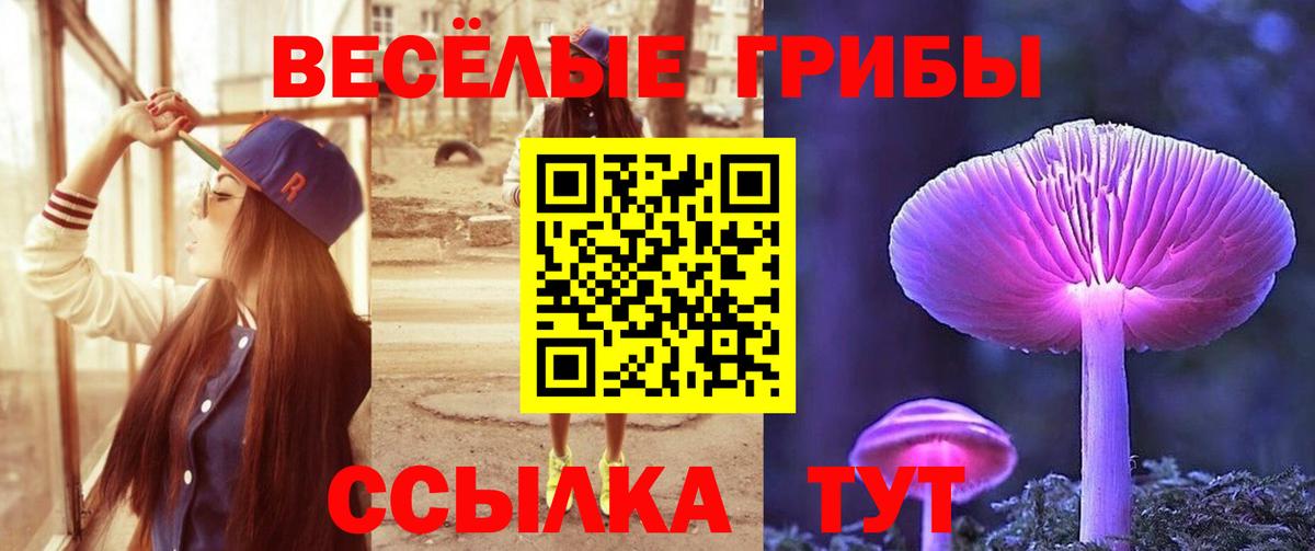 Симферополь  Галлюциногенные грибы Cubensis  Галлюциногенные грибы ЛСД  цена   Вход с VPN 
